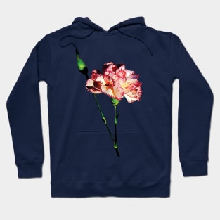 Carnations - Pink and White Carnation with Bud Hoodie